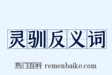 灵驯反义词是什么意思的图片
